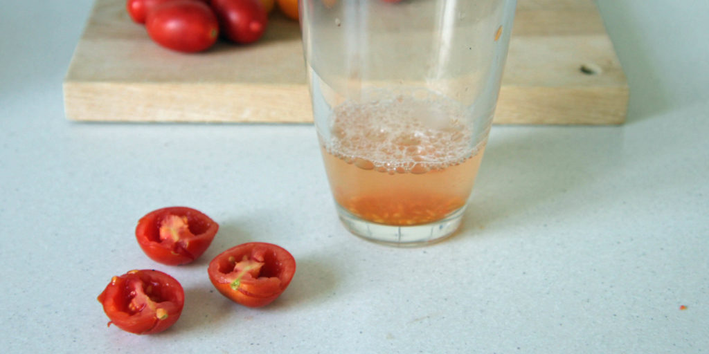 Ausgelöste Tomatensamen im Wasserglas