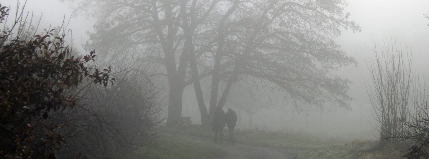 Spaziergang im Nebel